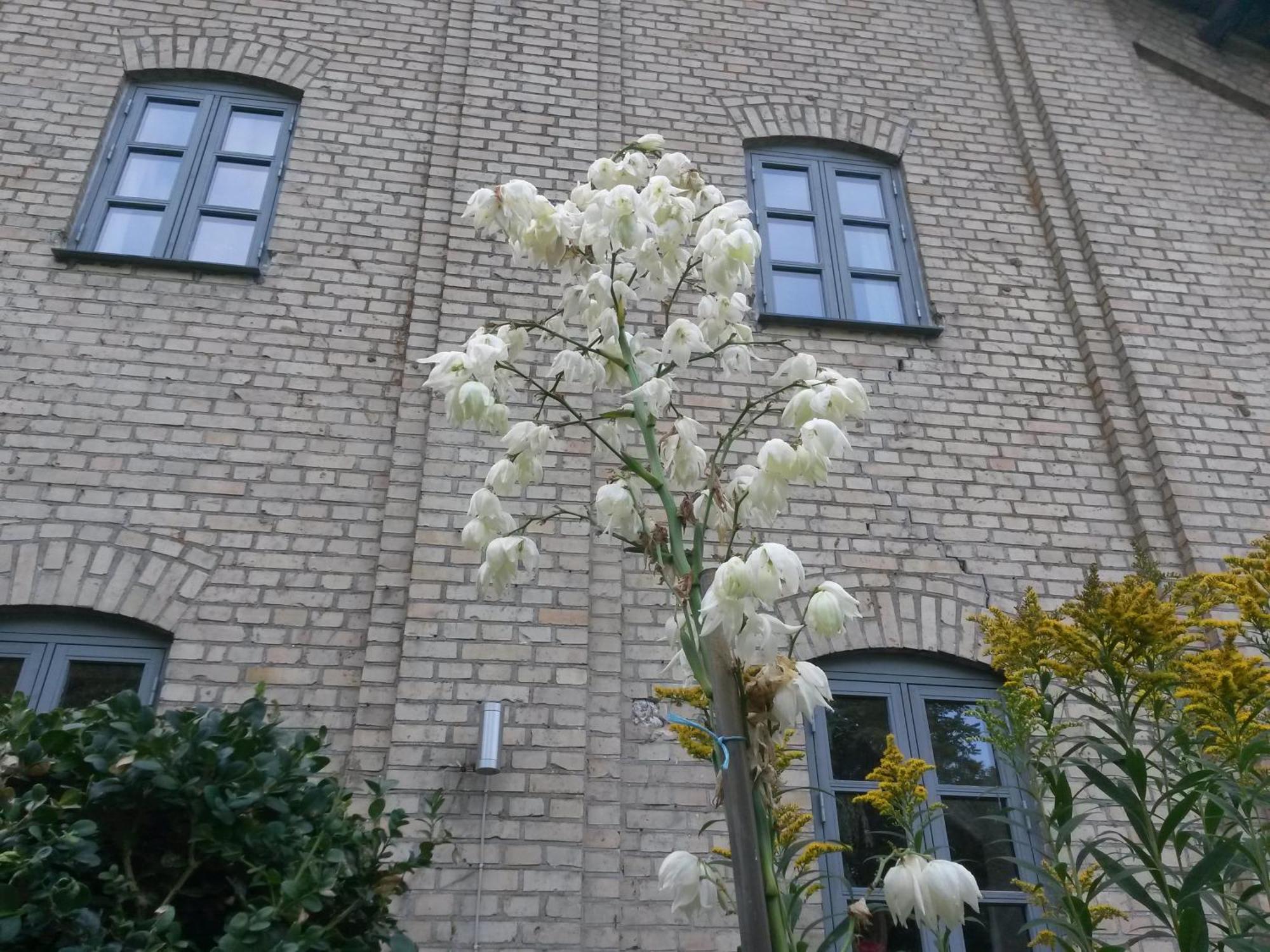 Skelstrupgaard Apartments Марибо Экстерьер фото